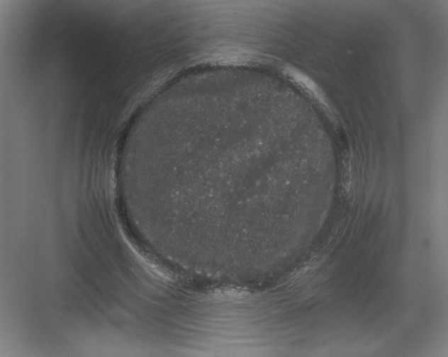 X0000082940586200702152216