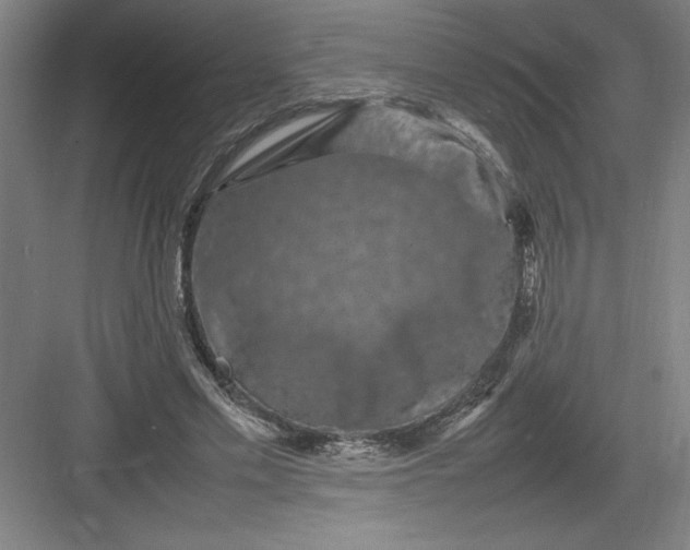 X0000082940589200702152216