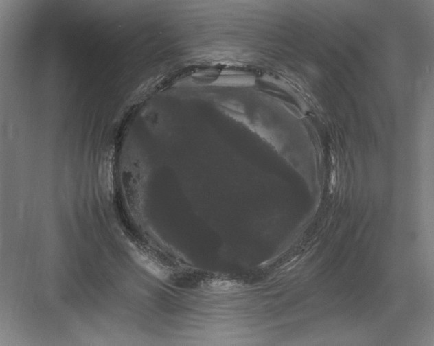 X0000082940590200702152216