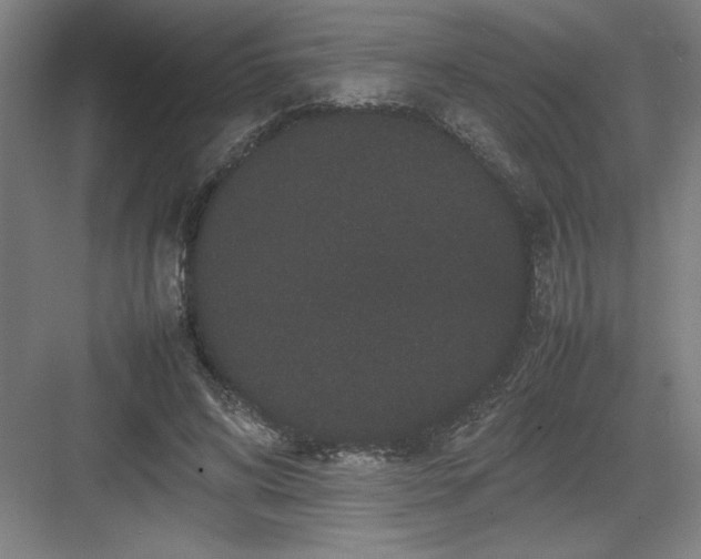 X0000082940592200702152216