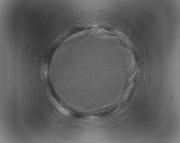 X0000082940593200702152216