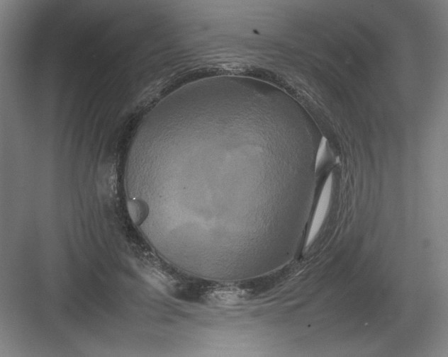 X0000082940595200702152216