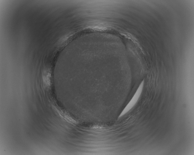 X0000082940596200702152216