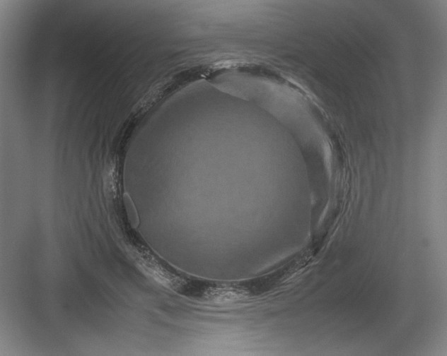 X0000082940597200702152216