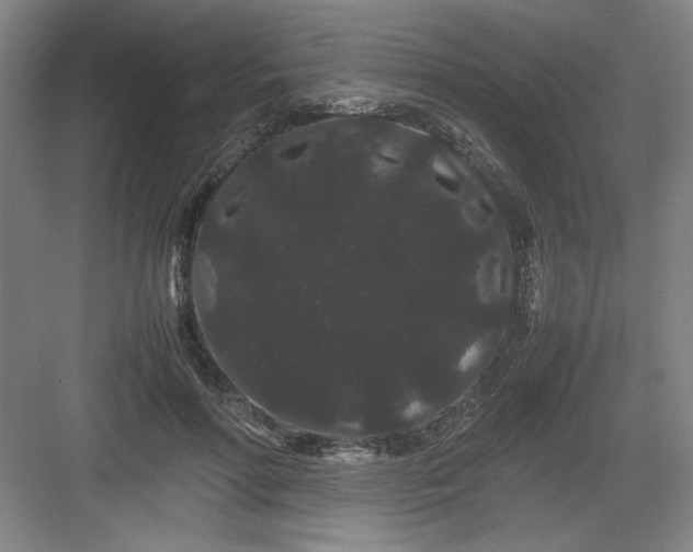 X0000082940598200702152216