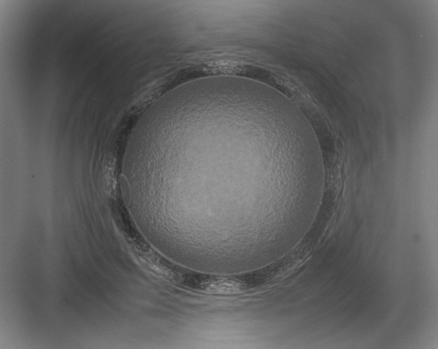 X0000082940599200702152216