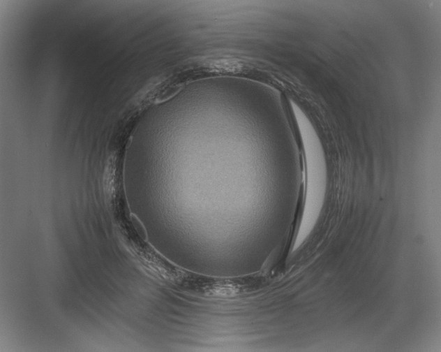 X0000082940600200702152216