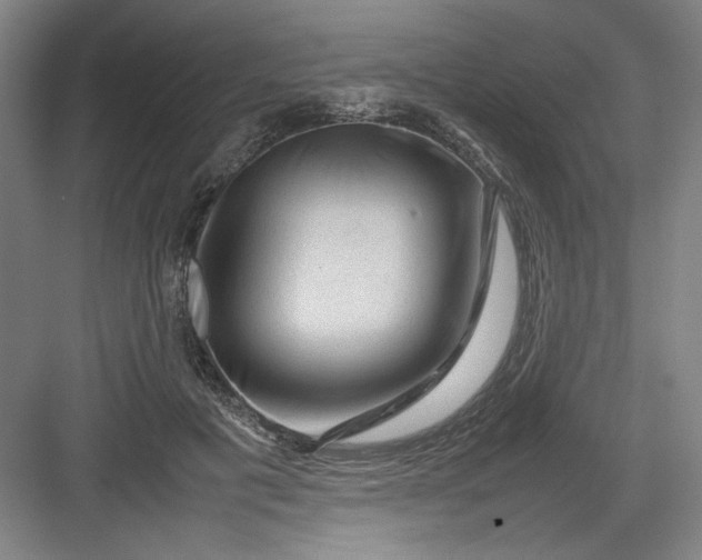 X0000082940601200702152216