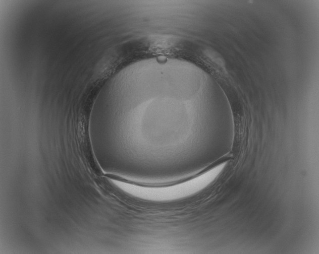 X0000082940603200702152216