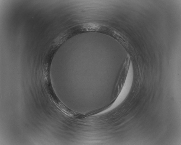 X0000082940604200702152216