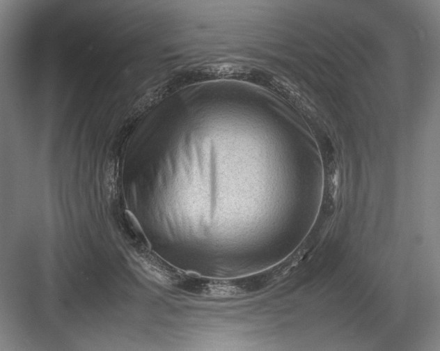 X0000082940605200702152216