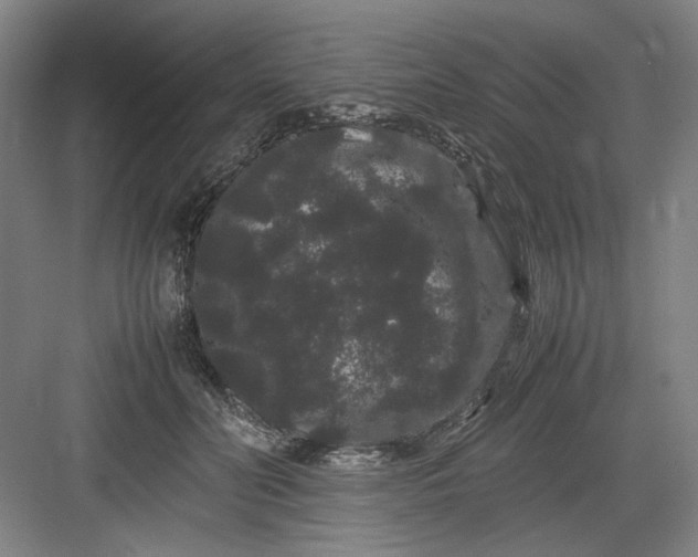 X0000082940606200702152216