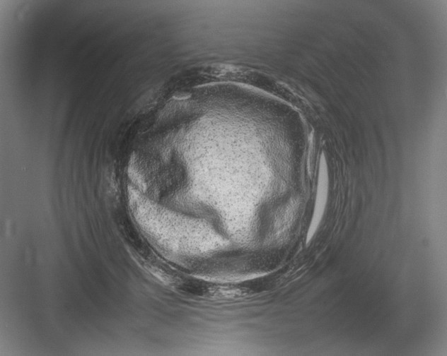 X0000082940607200702152216