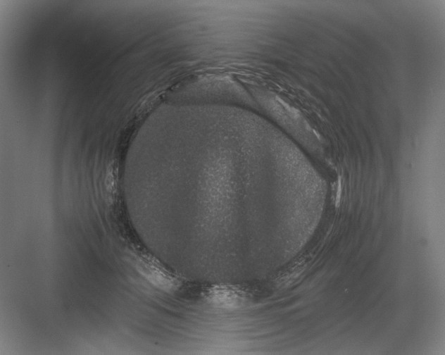 X0000082940608200702152216