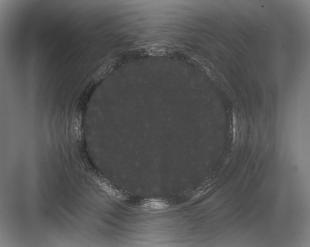 X0000082940610200702152216