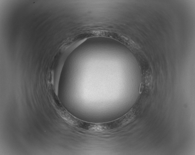 X0000082940611200702152216