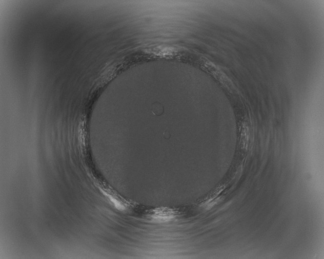 X0000082940612200702152216