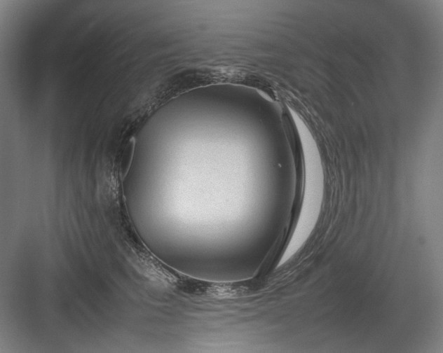 X0000082940613200702152216