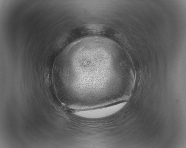 X0000082940615200702152216