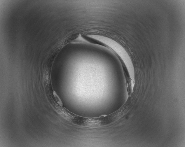 X0000082940617200702152216