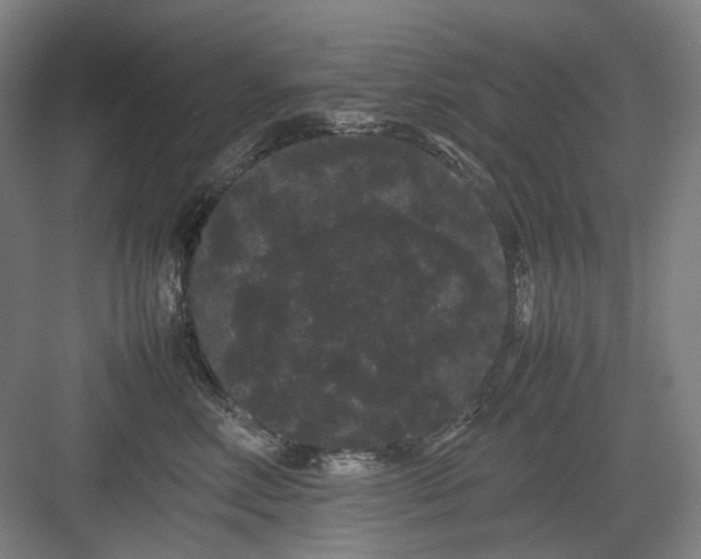 X0000082940618200702152216