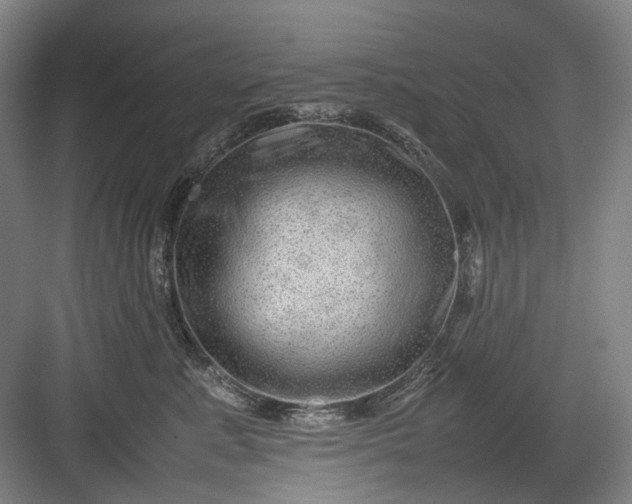 X0000082940619200702152216