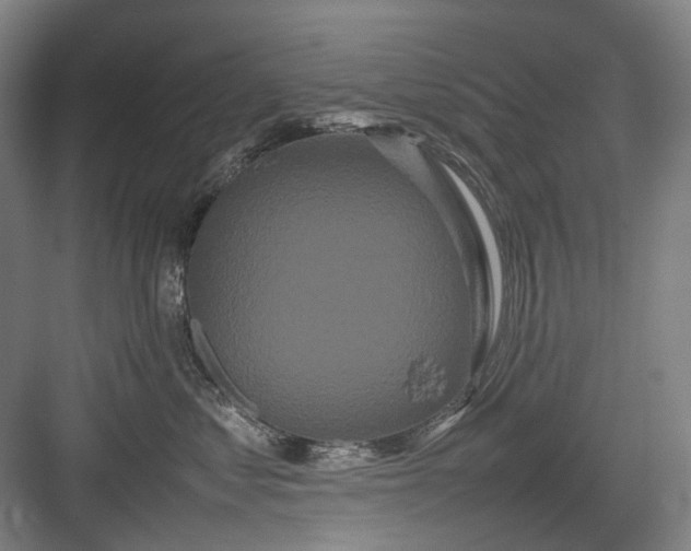 X0000082940621200702152216