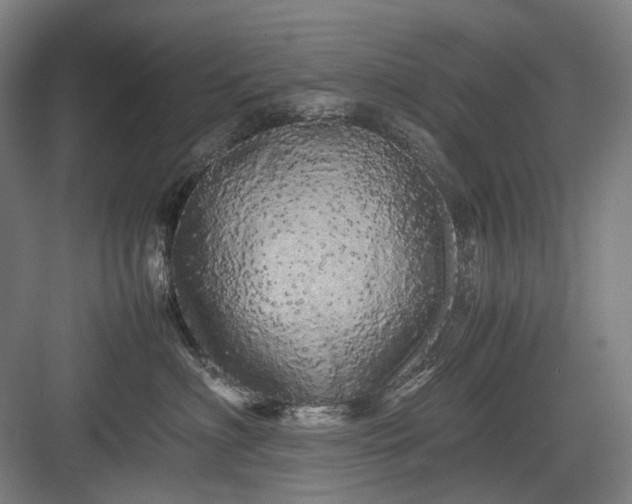 X0000082940622200702152216