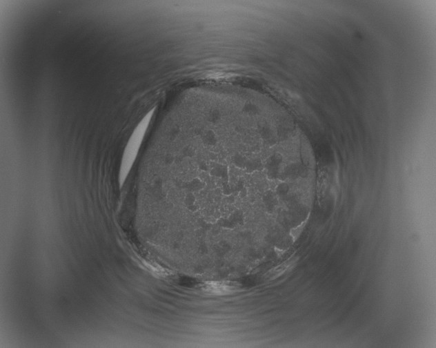 X0000082940623200702152216