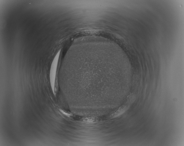 X0000082940624200702152216