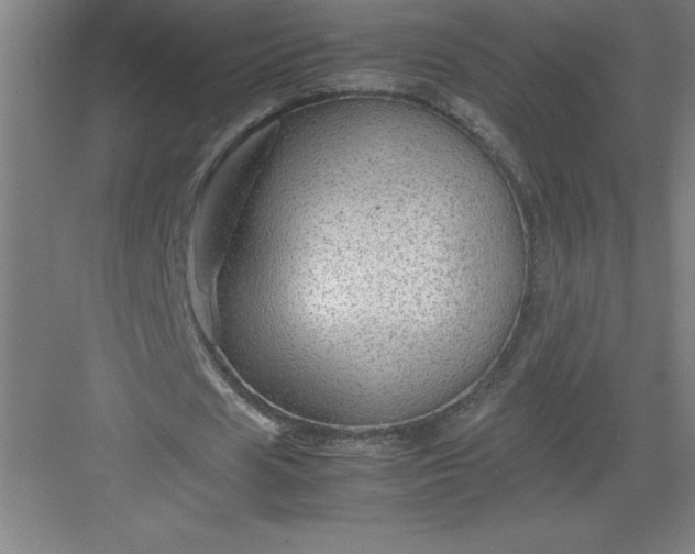 X0000082940625200702152215