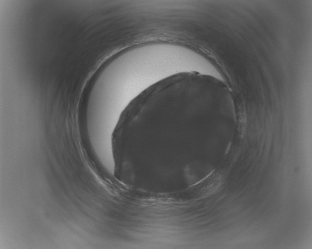 X0000082940626200702152215