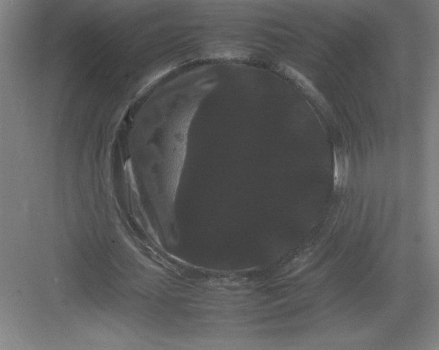 X0000082940627200702152215