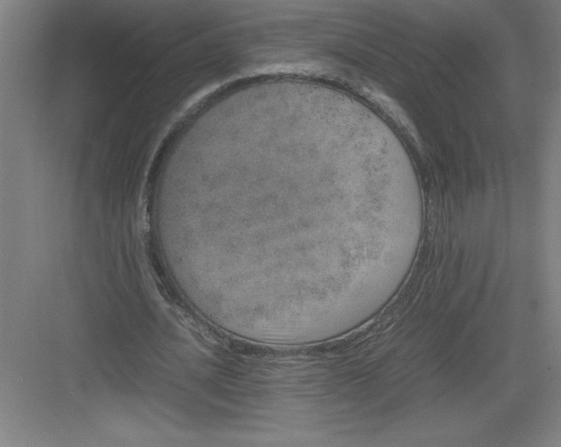 X0000082940628200702152215