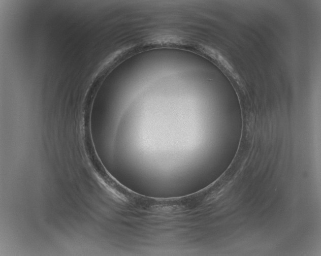 X0000082940629200702152215