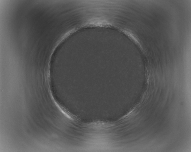 X0000082940630200702152215