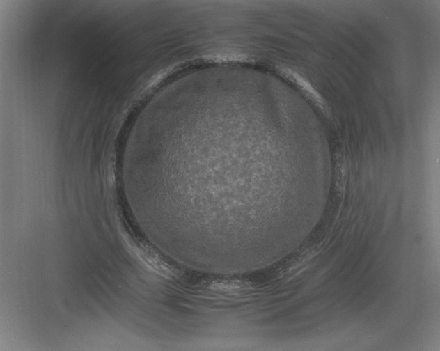 X0000082940631200702152215