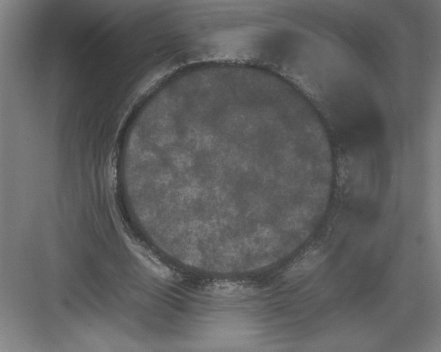 X0000082940632200702152215