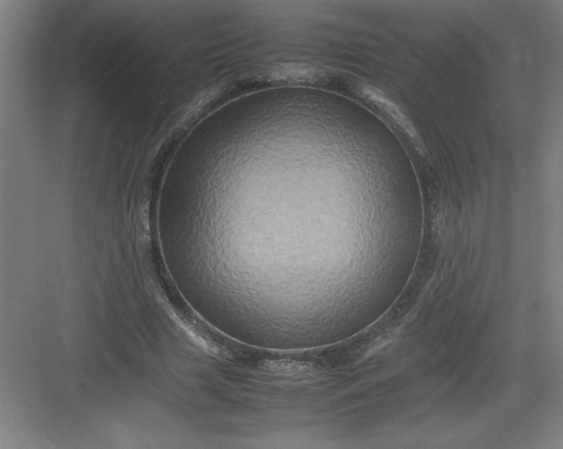 X0000082940633200702152215