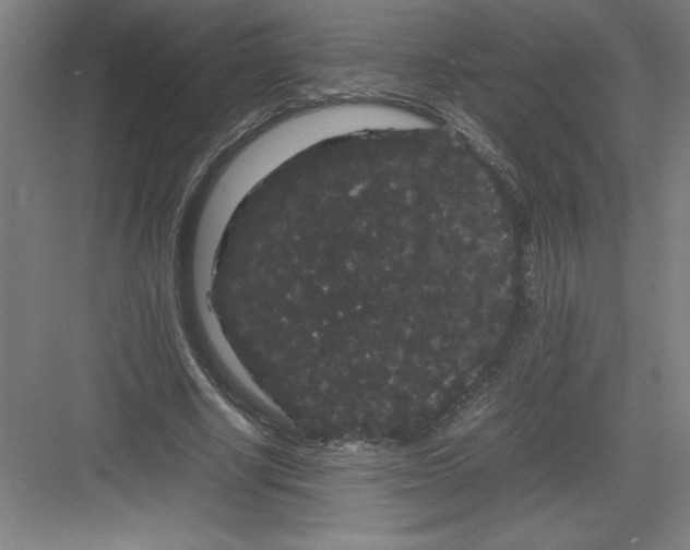 X0000082940634200702152215