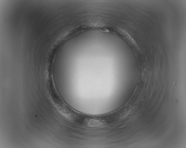 X0000082940635200702152215