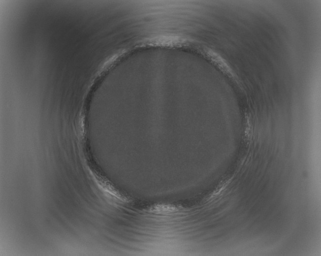 X0000082940636200702152215