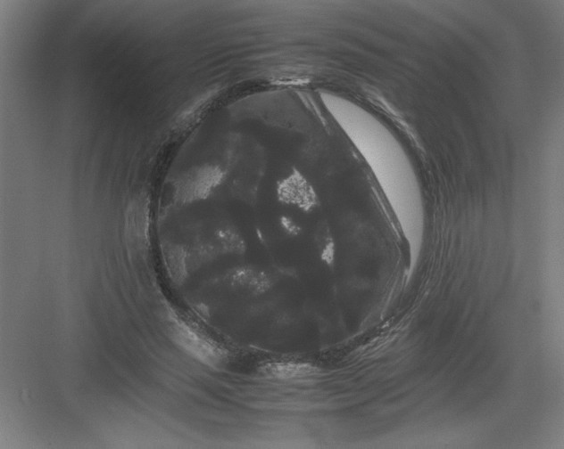 X0000082940637200702152215