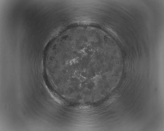 X0000082940638200702152215