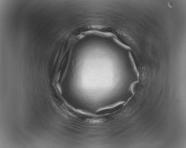 X0000082940639200702152215