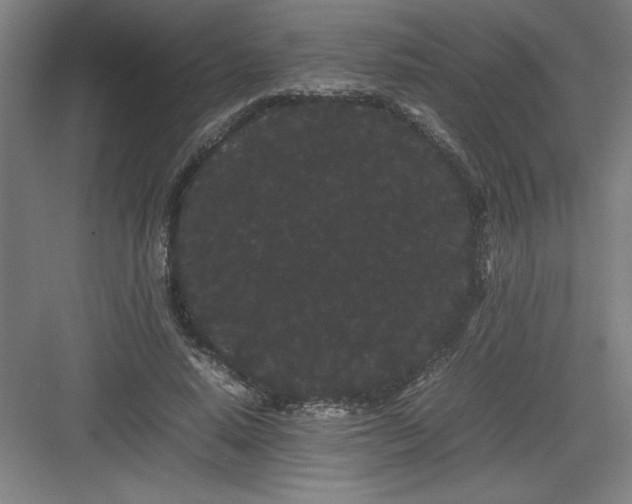 X0000082940640200702152215