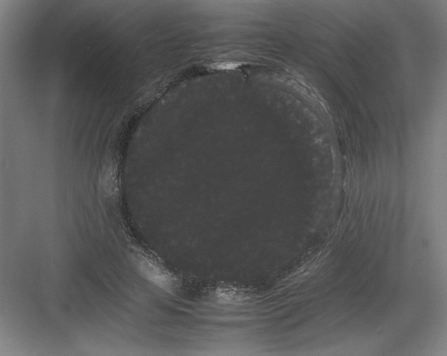 X0000082940641200702152215