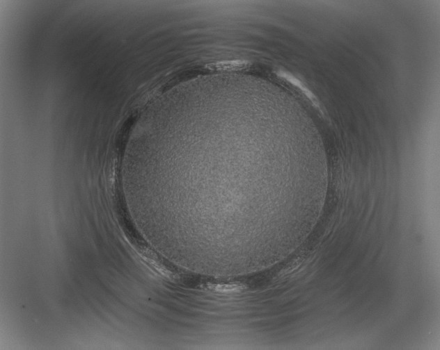 X0000082940645200702152215