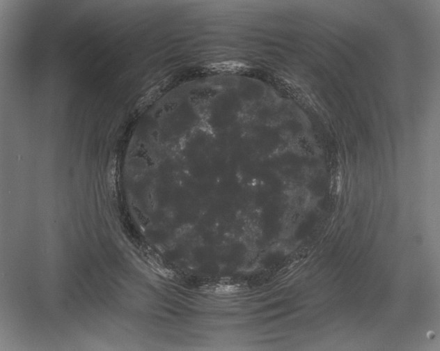 X0000082940647200702152215