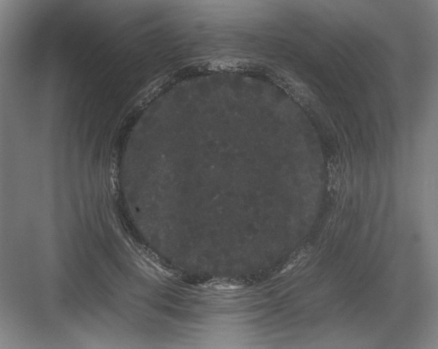 X0000082940648200702152215